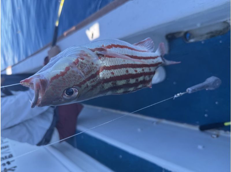 初心者専門釣り船フィッシュソング のギャラリー