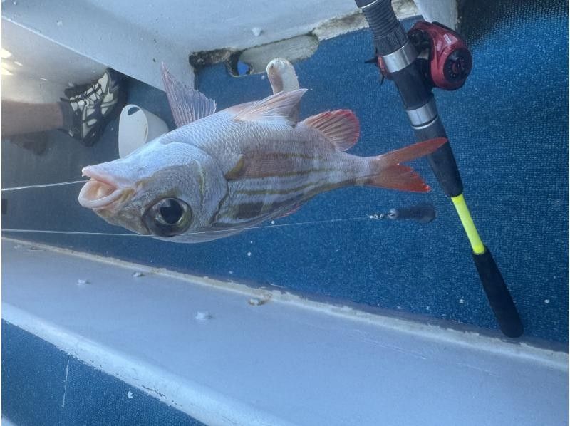 初心者専門釣り船フィッシュソング のギャラリー