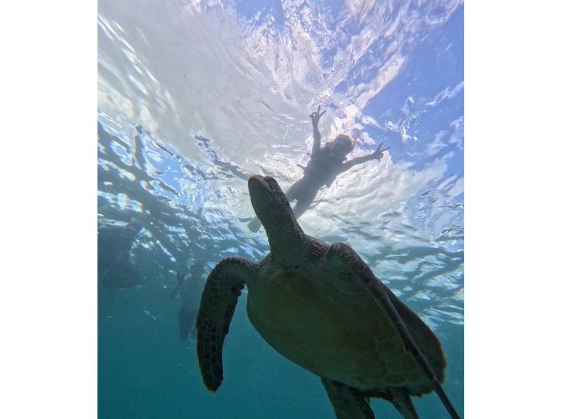 nico 宮古島 のギャラリー