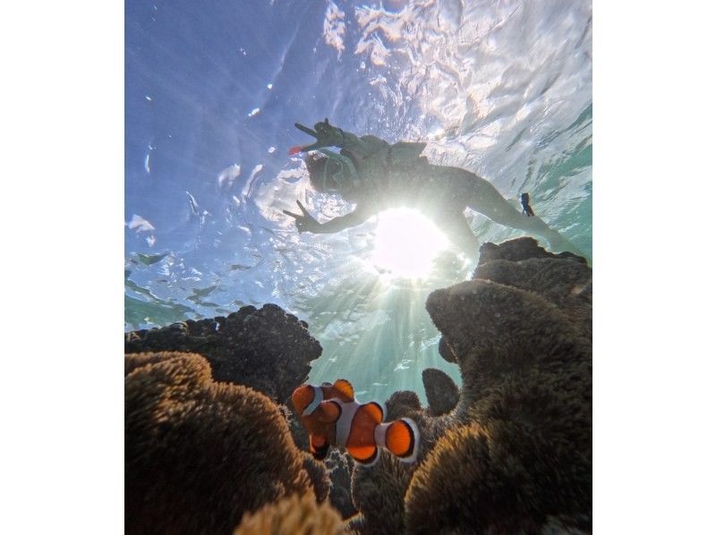 nico 宮古島 のギャラリー