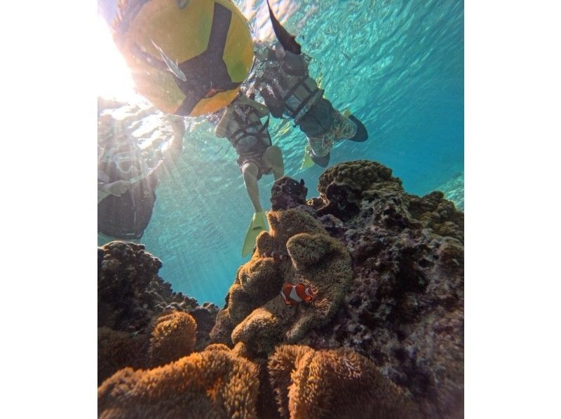 COCO宮古島 のギャラリー