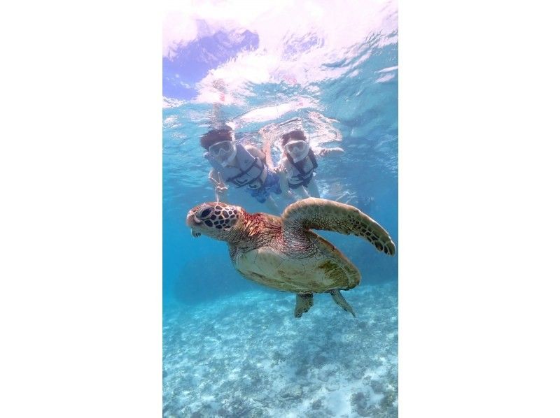 nico 宮古島 のギャラリー