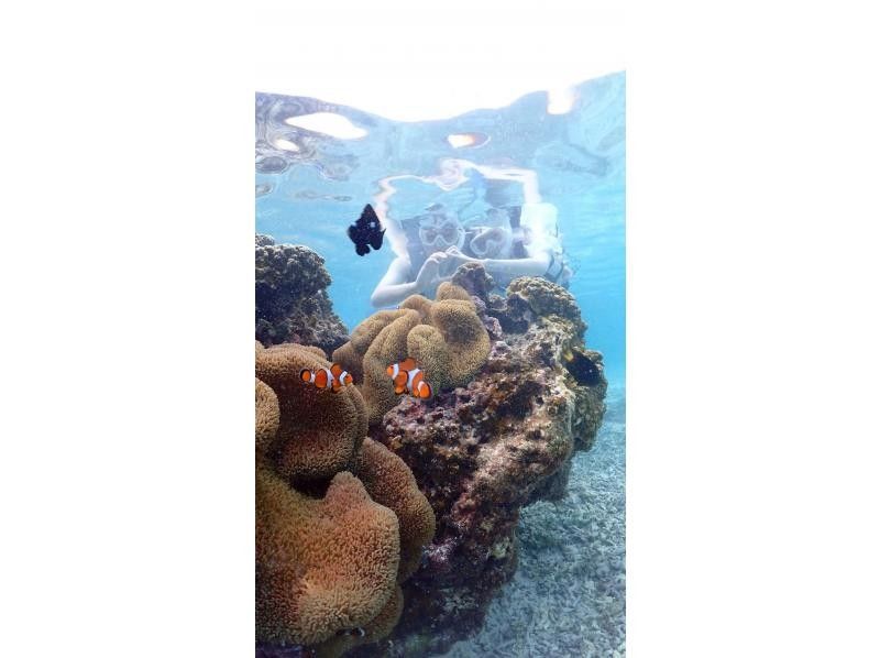 nico 宮古島 のギャラリー