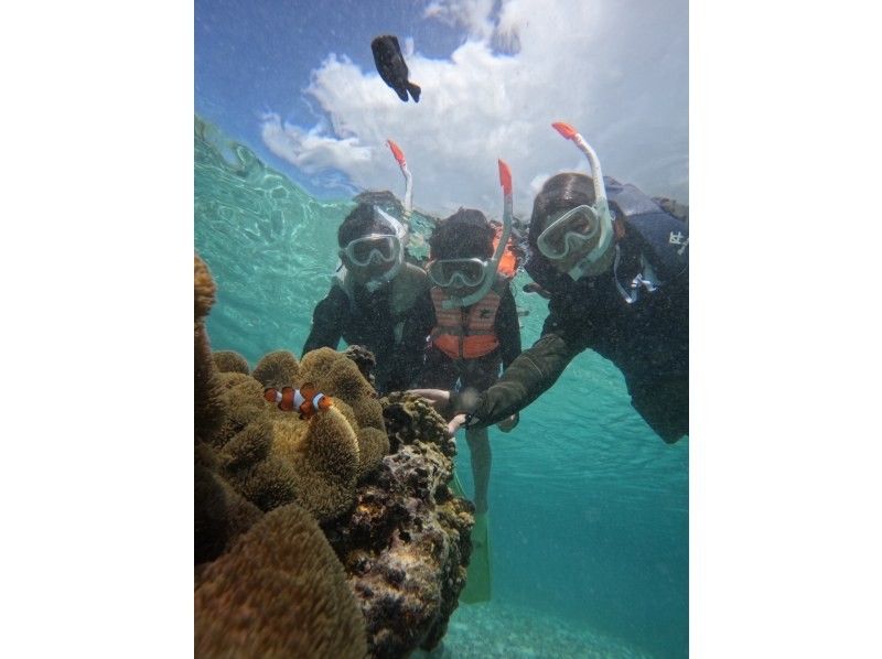 nico 宮古島 のギャラリー