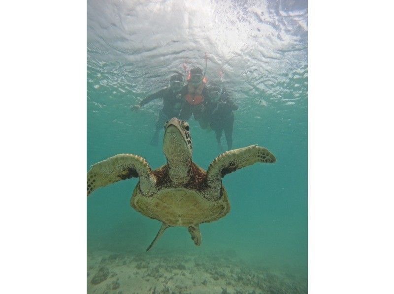 nico 宮古島 のギャラリー