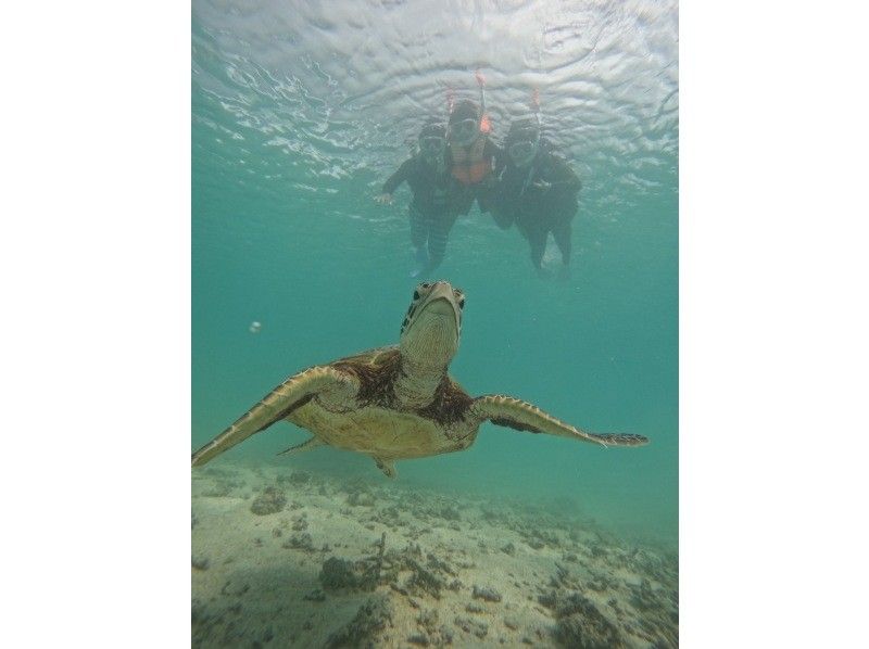 nico 宮古島 のギャラリー