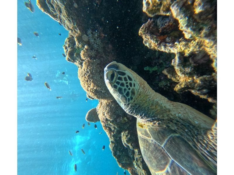 マリンショップ　アガイティーラ のギャラリー