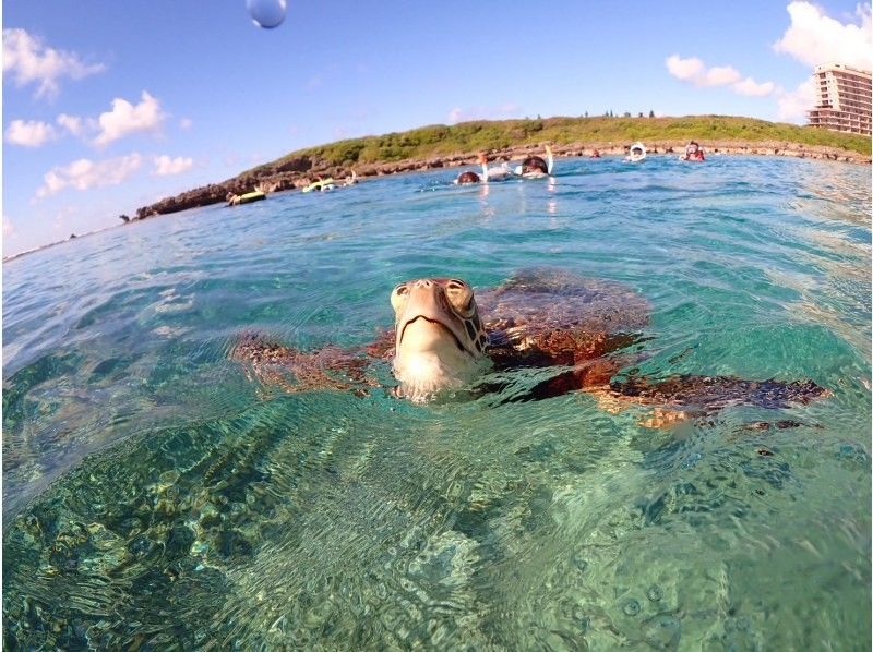 nico 宮古島 のギャラリー