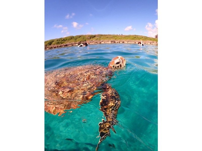 nico 宮古島 のギャラリー