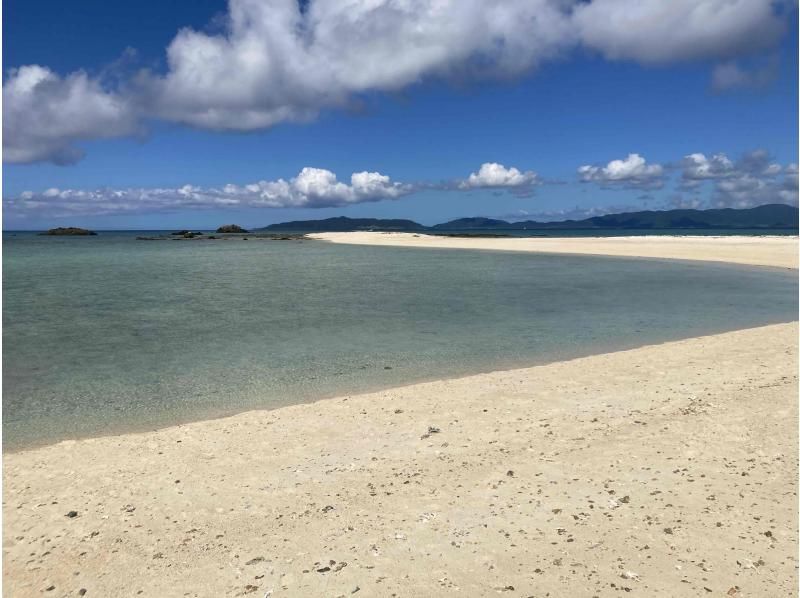 石垣島　ウミガメシュノーケル　マリンショップHAPPY のギャラリー
