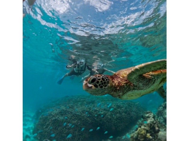 nico 宮古島 のギャラリー