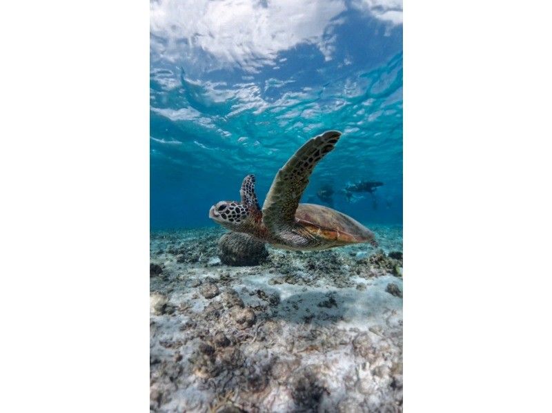 nico 宮古島 のギャラリー