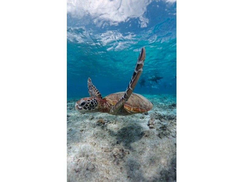 nico 宮古島 のギャラリー