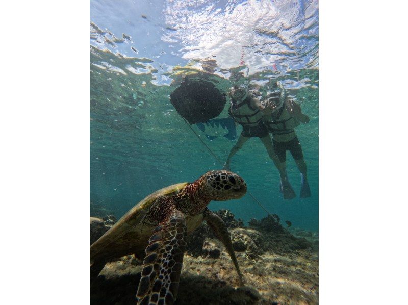 nico 宮古島 のギャラリー