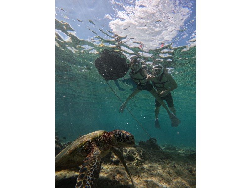 nico 宮古島 のギャラリー