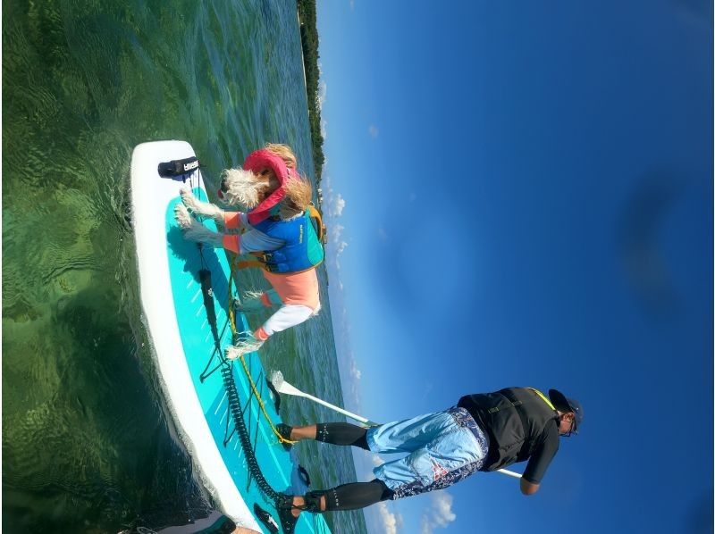 OneUP Paddle のギャラリー