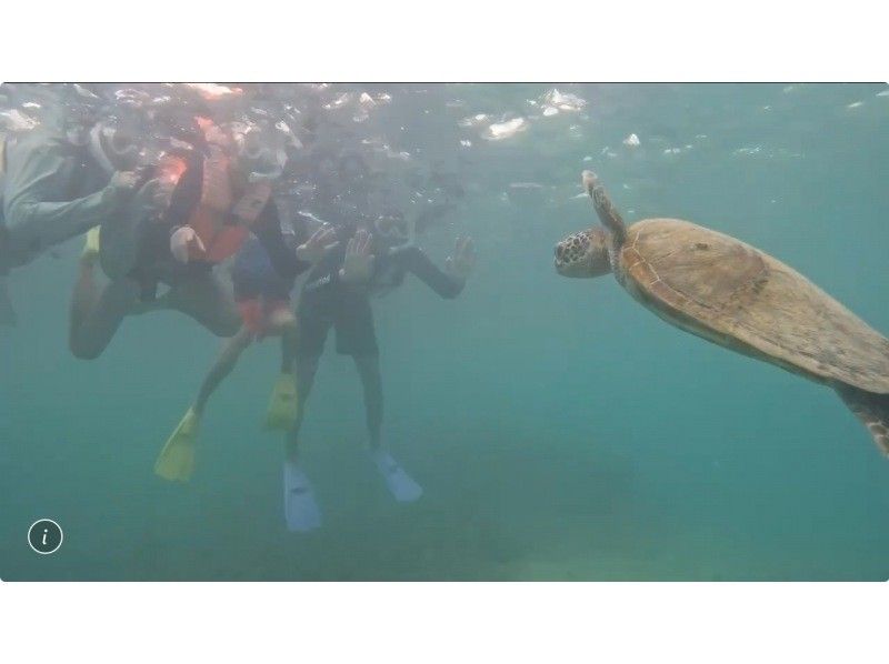 nico 宮古島 のギャラリー