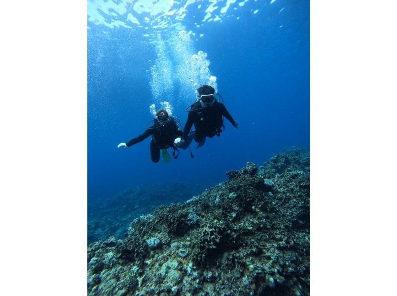 Y’S　DIVE　OKINAWA のギャラリー