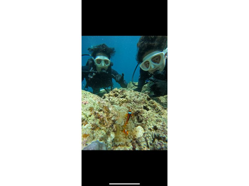 武藤潜水 のギャラリー