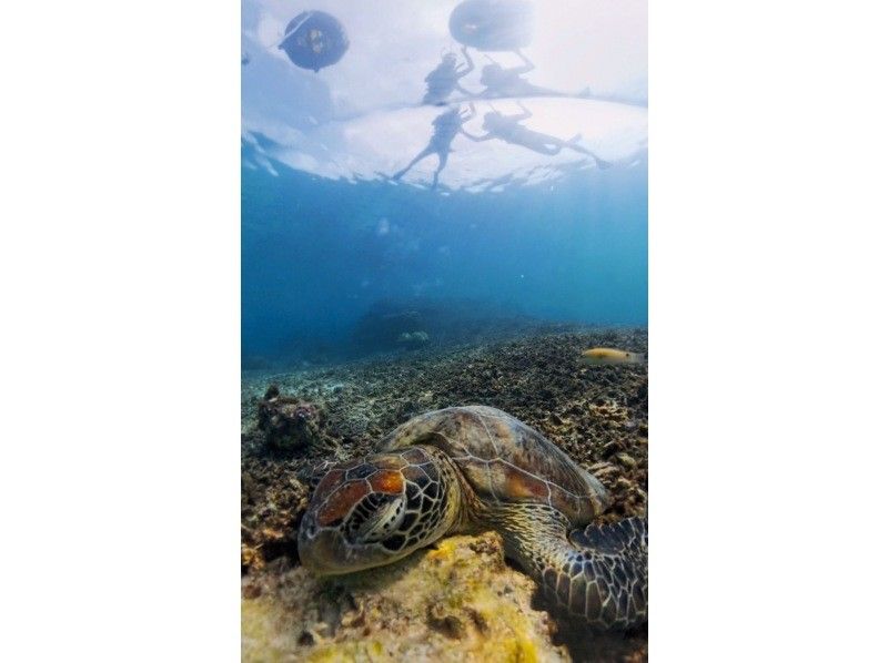 nico 宮古島 のギャラリー