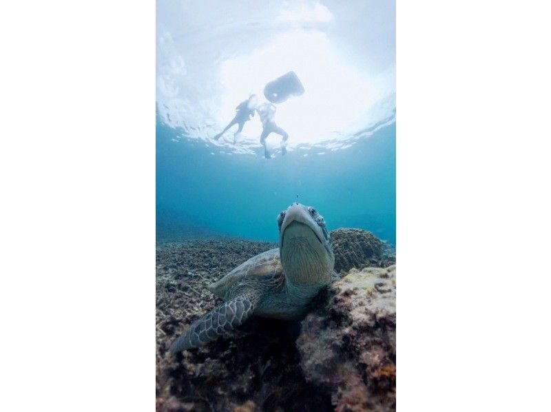 nico 宮古島 のギャラリー