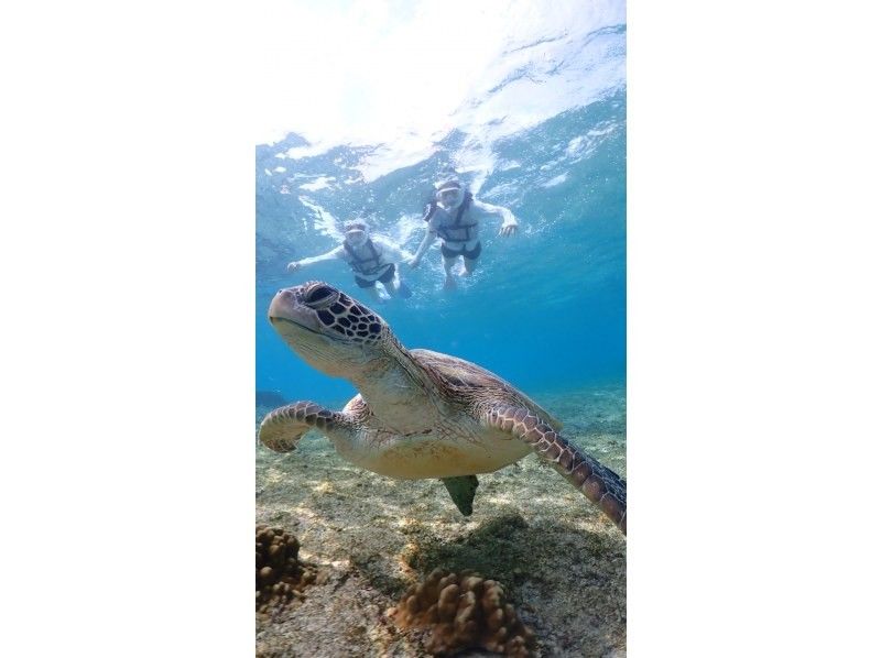 nico 宮古島 のギャラリー