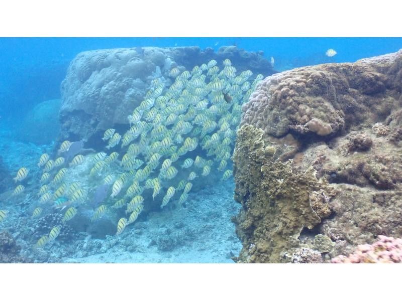 nico 宮古島 のギャラリー