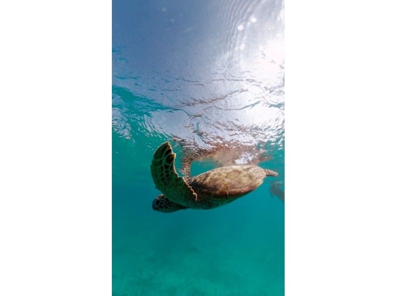 nico 宮古島 のギャラリー