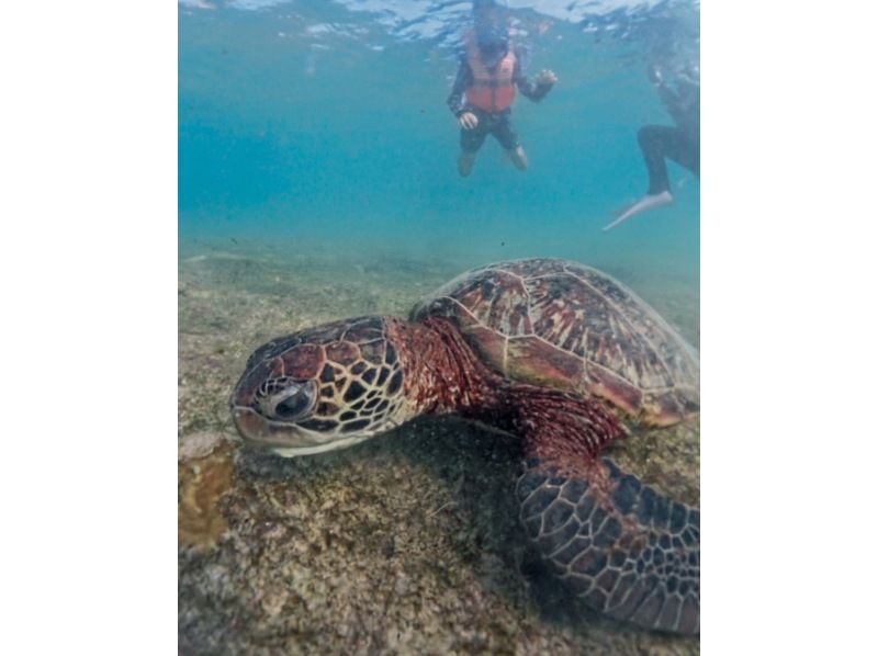 nico 宮古島 のギャラリー