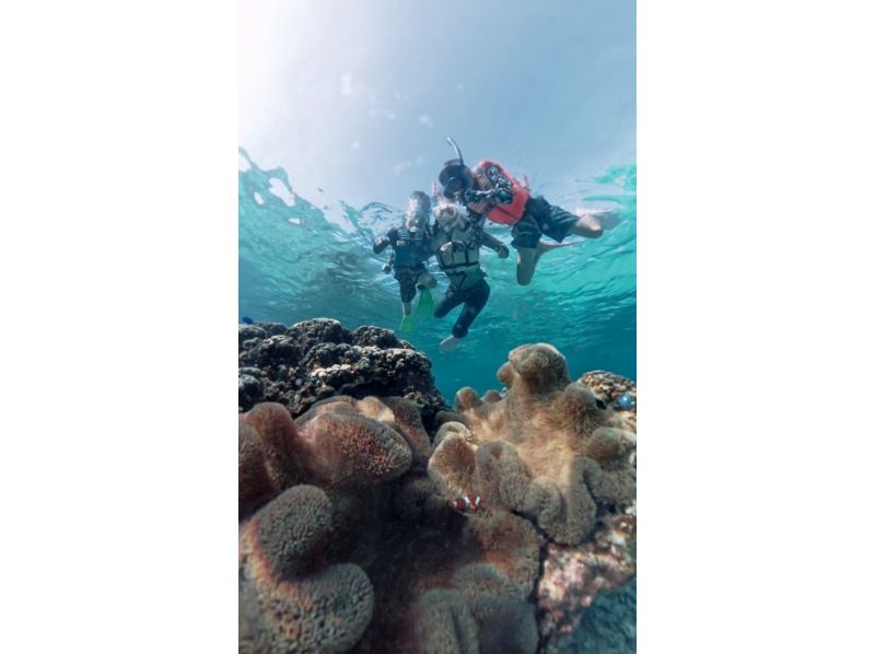 nico 宮古島 のギャラリー