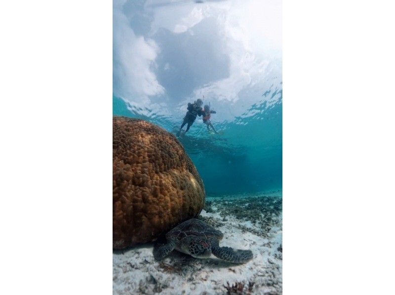 nico 宮古島 のギャラリー