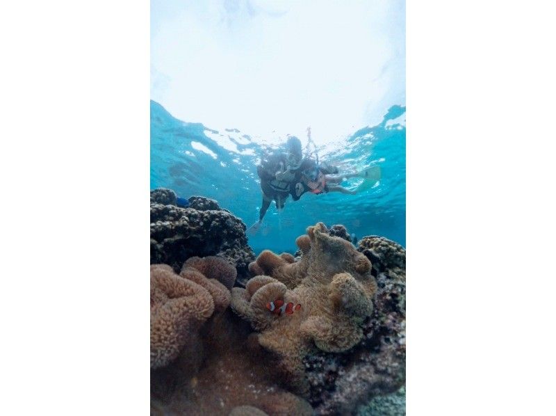 nico 宮古島 のギャラリー