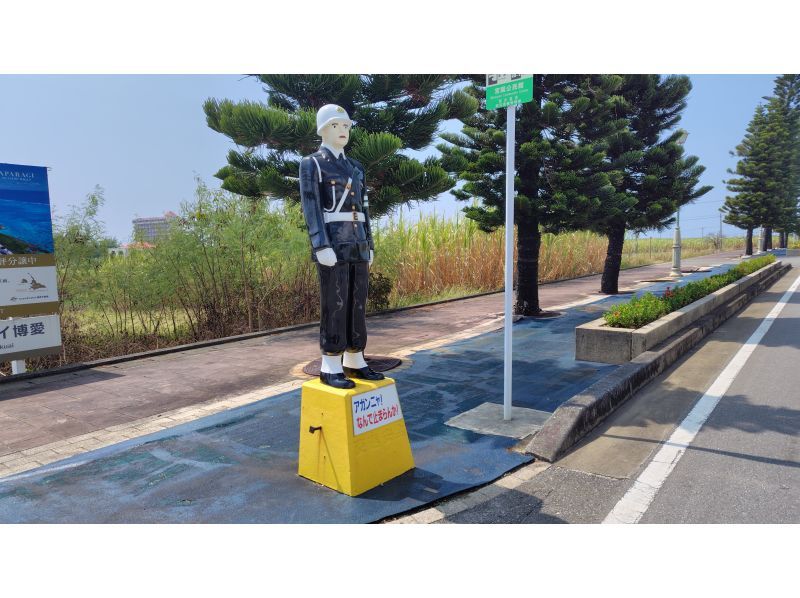 Polepolemarine385 のギャラリー