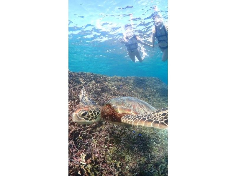 nico 宮古島 のギャラリー