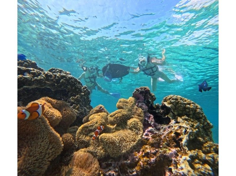 nico 宮古島 のギャラリー