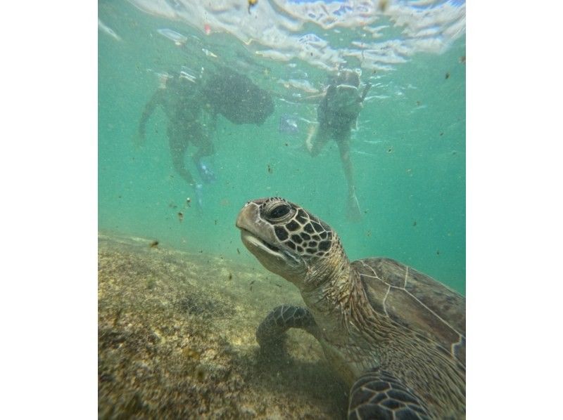 nico 宮古島 のギャラリー