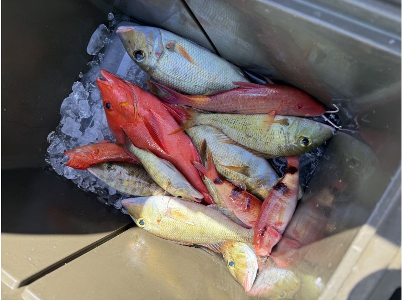 釣り船　博栄丸 のギャラリー