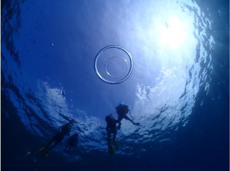 BalloonFish宮古島 のギャラリー