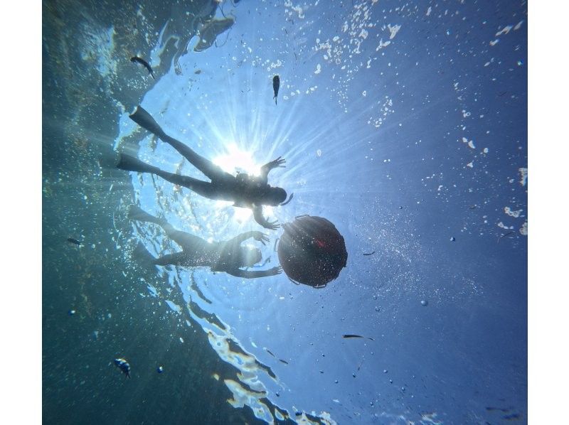Diving Shop Lei のギャラリー