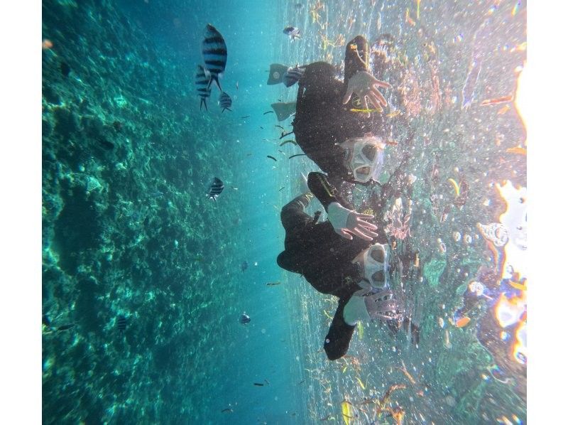 Diving Shop Lei のギャラリー