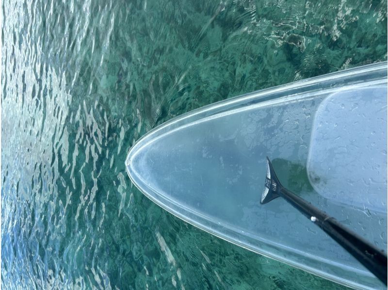 宮古島マリン SUGAR3 のギャラリー