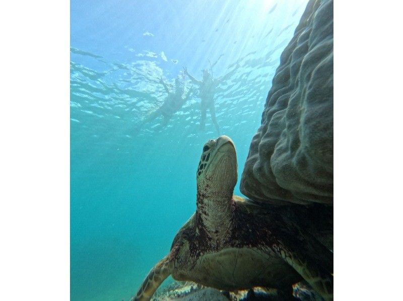 nico 宮古島 のギャラリー