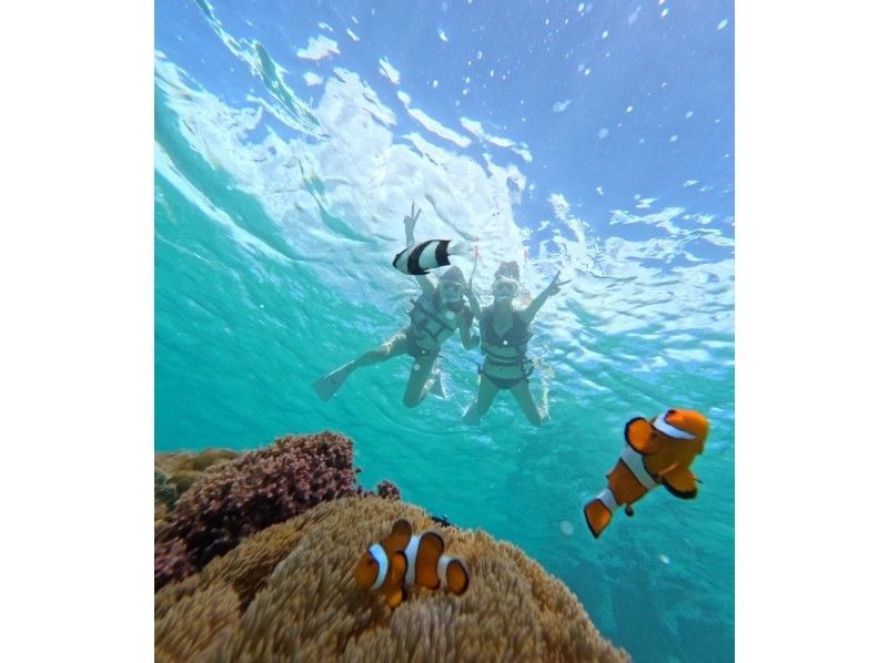 nico 宮古島 のギャラリー