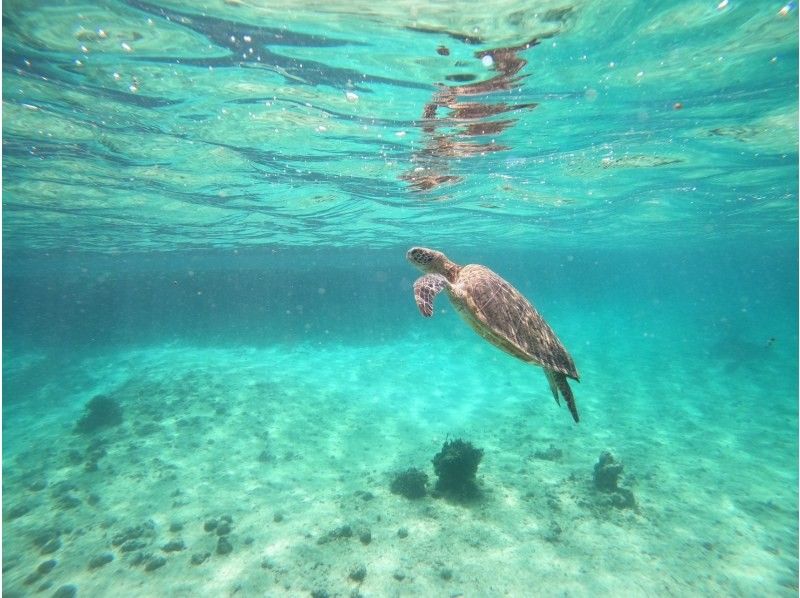 宮古島マリン SUGAR3 のギャラリー