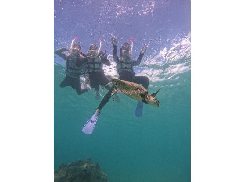 nico 宮古島 のギャラリー