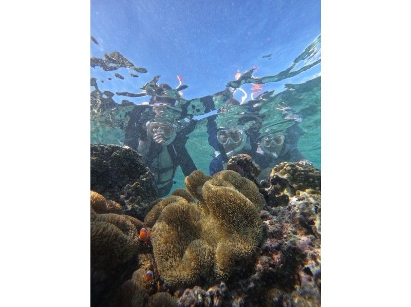 nico 宮古島 のギャラリー