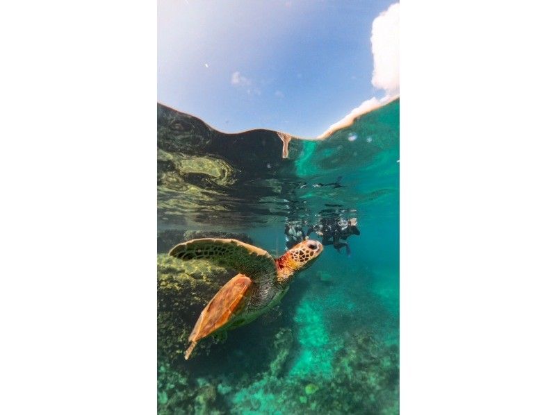 nico 宮古島 のギャラリー