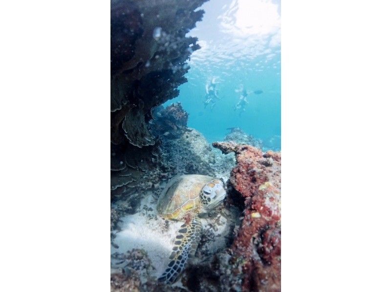 nico 宮古島 のギャラリー