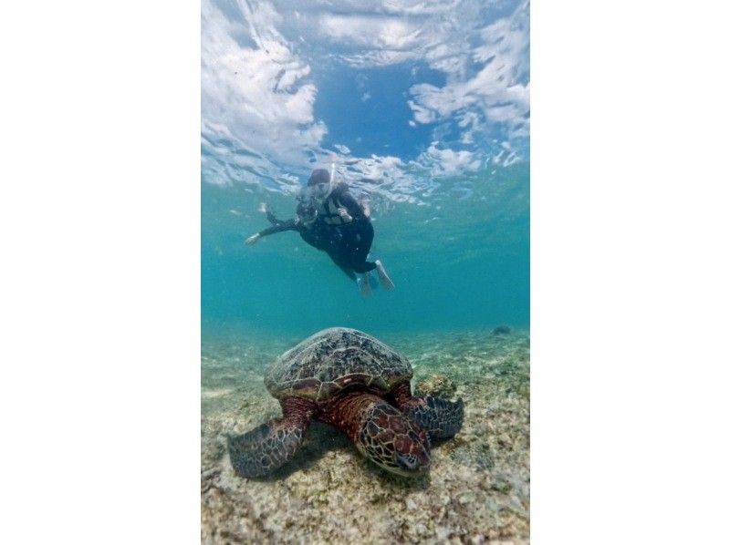 nico 宮古島 のギャラリー