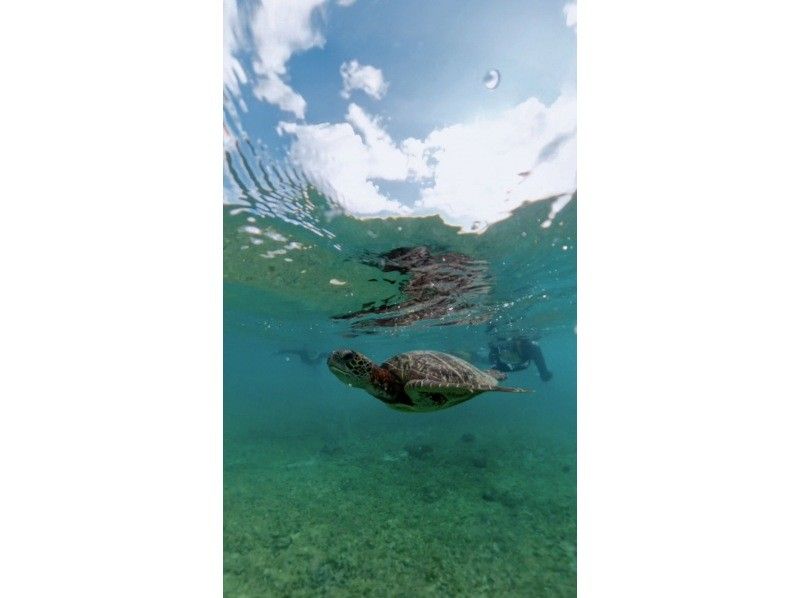 nico 宮古島 のギャラリー